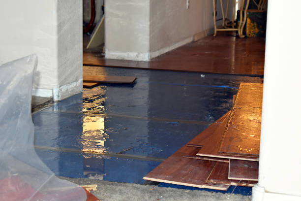 Professional Flood Damage Repair technician working in Van Voorhis, PA